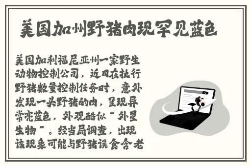国产精品天干在线观看